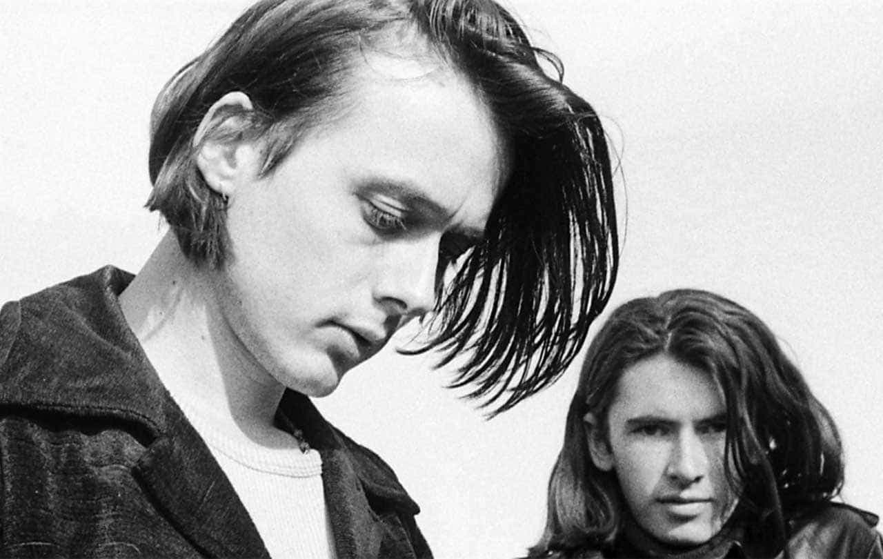 Suede: The Insatiable Ones